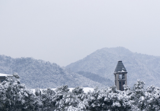 2018-1-26 浙工大 雪