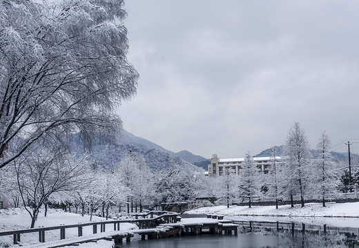 2018-1-26 浙工大 雪