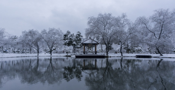 2018-1-26 浙工大 雪